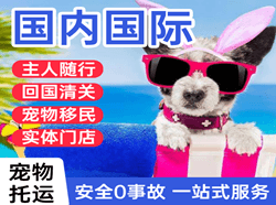 霍林河机场快递国际宠物托运 【国